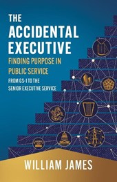 The Accidental Executive
