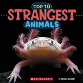 Top 10 Strangest Animals