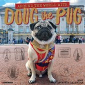 Doug the Pug & Dory 2026 Wall Calendar