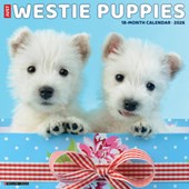 Westie Puppies 2026 12 X 12 Wall Calendar