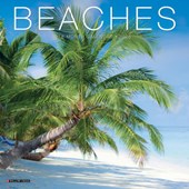 Beaches 2026 Mini Wall Calendar