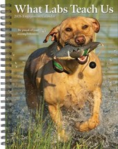 What Labs Teach Us 2026 Engagement Calendar
