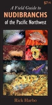 Field Guide to Nudibranchs of the Pacific Northwest