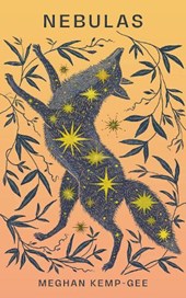 Nebulas