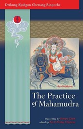 The Practice Of Mahamudra