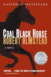 Coal Black Horse