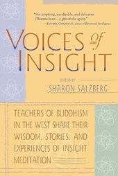 Voices of Insight