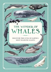 The Wonder of Whales