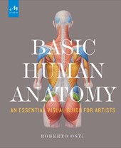 Basic Human Anatomy
