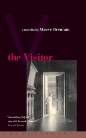 The The Visitor