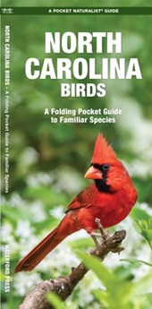 North Carolina Birds