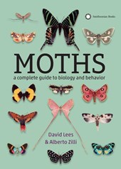 Lees, D: Moths
