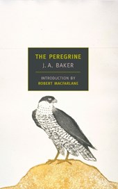 Baker, J: Peregrine