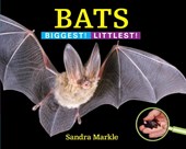 Bats