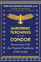 Shamanic Teachings of the Condor