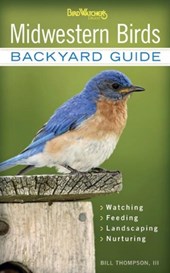 Midwestern Birds
