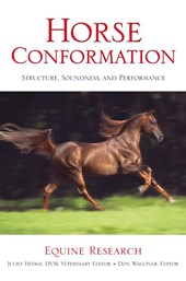 Horse Conformation
