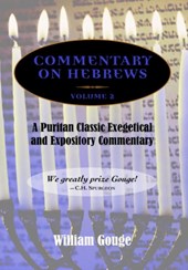 Commentary on Hebrews