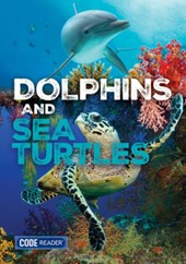 Dolphins and Sea Turtles