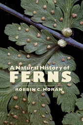 A Natural History of Ferns
