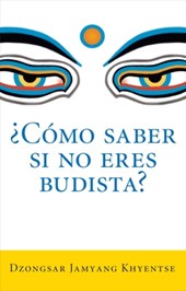 SPA-COMO SABER SI NO ERES BUDI