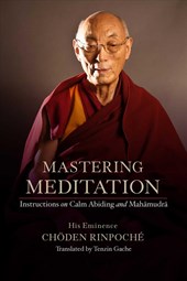 Mastering Meditation