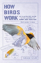 Taylor, M: How Birds Work