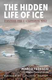 HIDDEN LIFE OF ICE