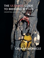 The Ultimate Guide to Breeding Beetles