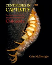 Centipedes in Captivity
