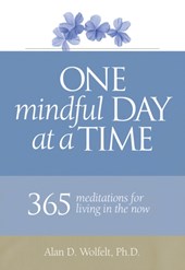 One Mindful Day at a Time