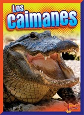 Los Caimanes