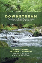 Downstream