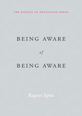 Being Aware of Being Aware