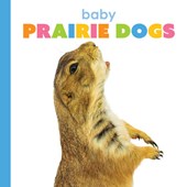 Baby Prairie Dogs