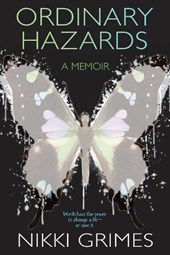 Ordinary Hazards