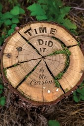 Time Did It: A Family Saga
