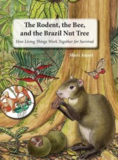 The Rodent, the Bee, and the Brazil Nut Tree