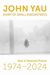 Diary of Small Discontents