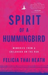 Spirit of a Hummingbird