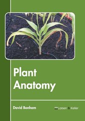 Plant Anatomy