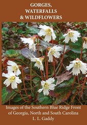 Gorges, Waterfalls, and Wildflowers