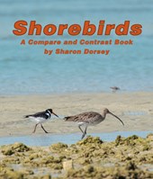 Shorebirds: A Compare and Contrast Book