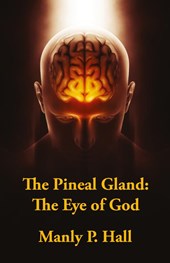 The Pineal Gland