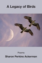 A Legacy of Birds