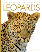 Leopards