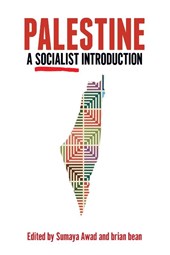 Palestine: A Socialist Introduction