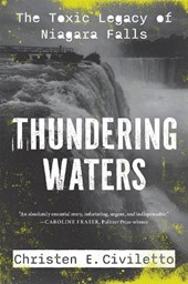 Thundering Waters: The Toxic Legacy of Niagara Falls