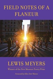 Field Notes of a Flaneur