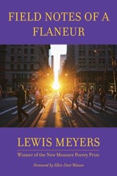 Field Notes of a Flaneur
